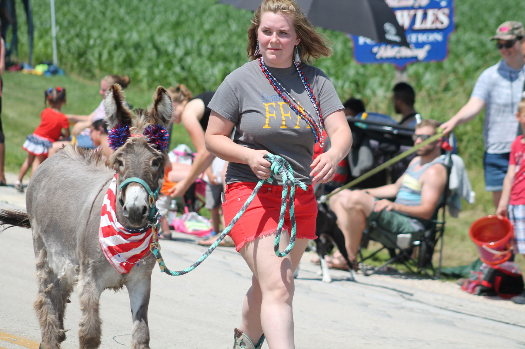 Patriotic donkey